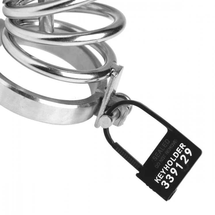 10pk Keyholder Plastic Chastity Locks - Image 2